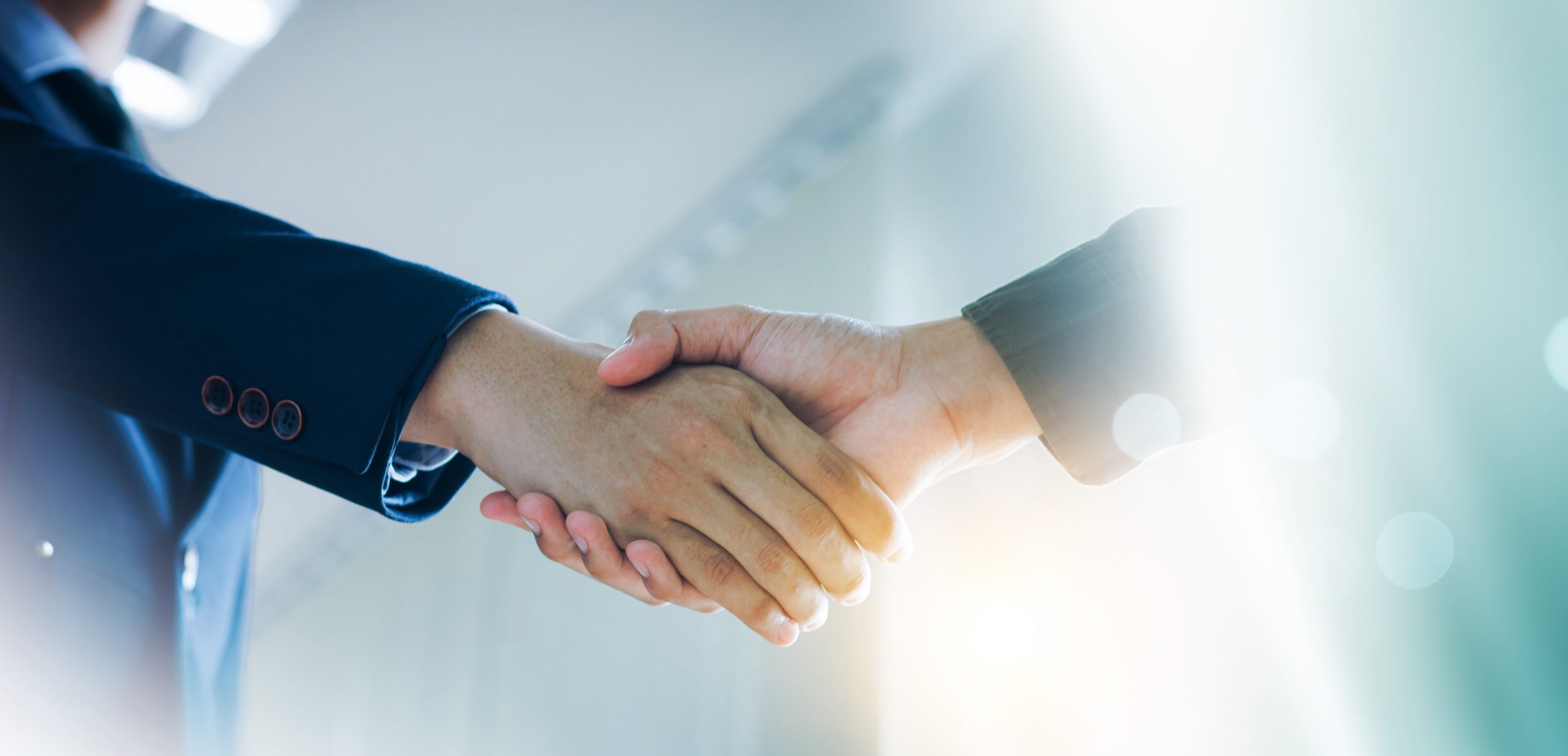 Gesellschaftsform der Genossenschaft: Die Besonderheiten